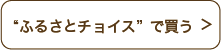 “ふるさとチョイス”で買う